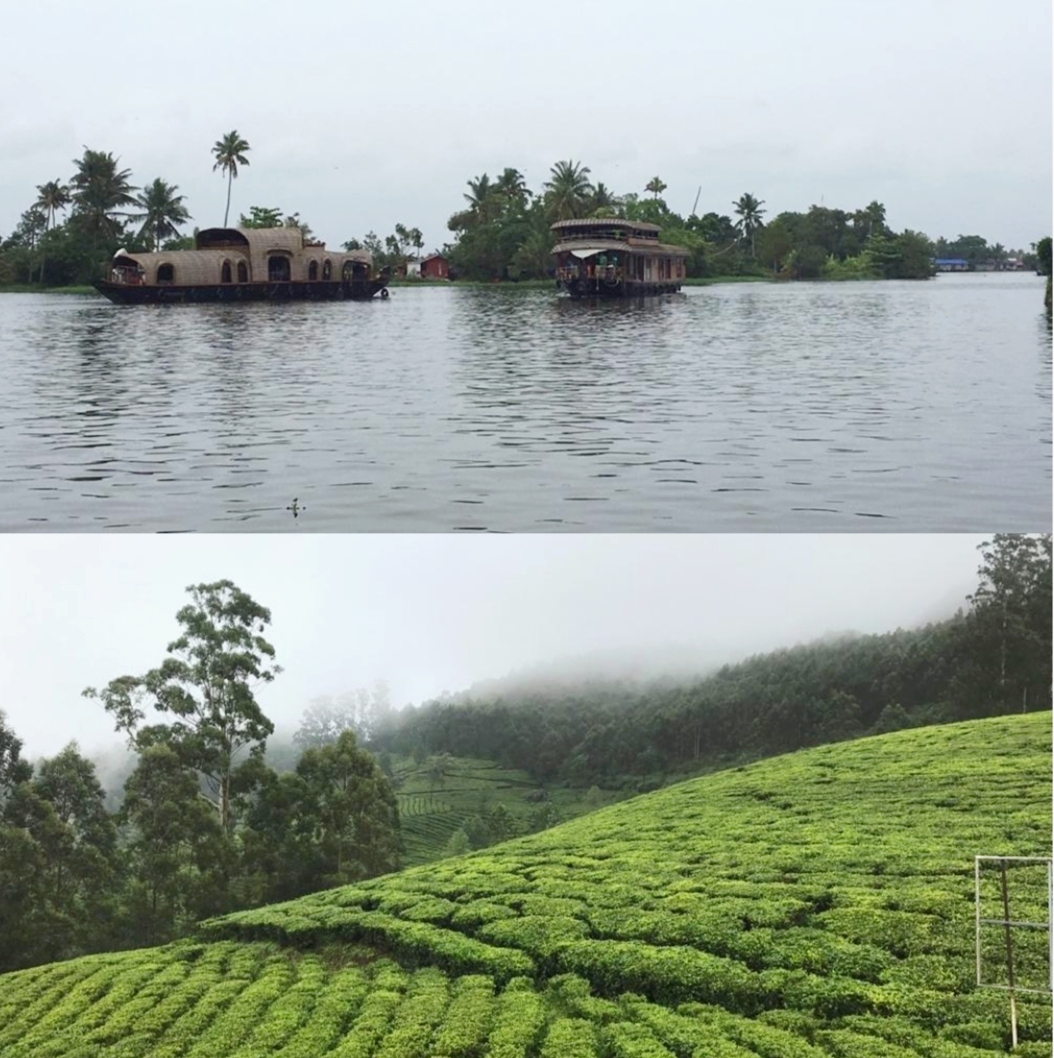 Mesmerizing experience to KERALA-Munnar, Nature at Its Best